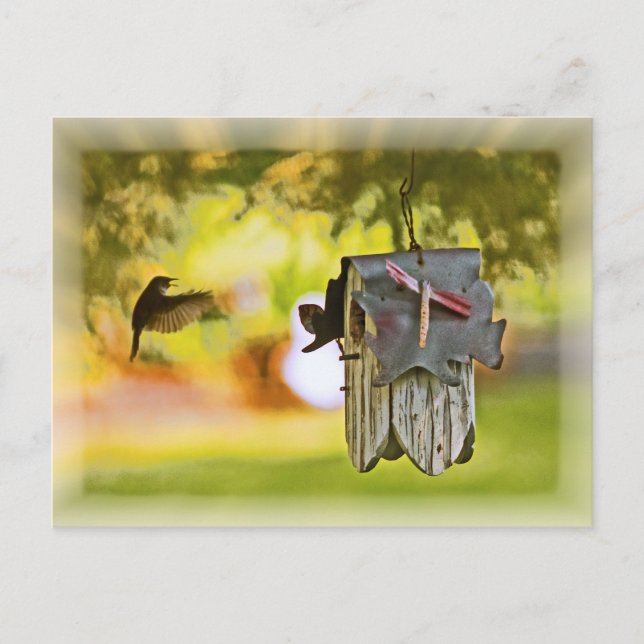 Cartão Postal Homeward Bound (Frente)