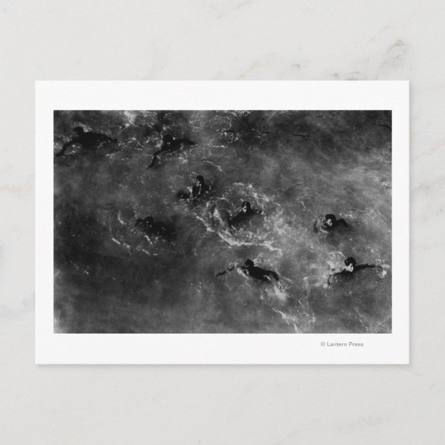 Cartão Postal Honolulu, HA - Garotos de mergulho perto do porto  (Frente)