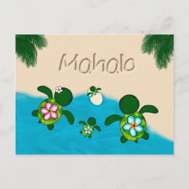 Cartão Postal Honu Baby BOY Sea TURTLE Obrigado Rapazes Azul #28