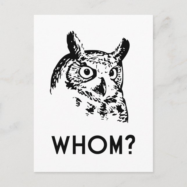 Cartão Postal Hoo Who Grammar Owl (Frente)