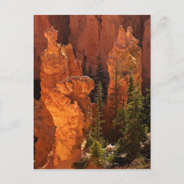 Cartão Postal Hoodoos E Goblins (Frente)