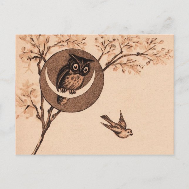 Cartão Postal Hoooot! (Frente)