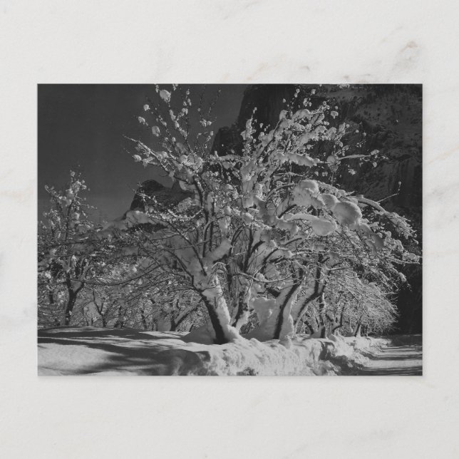 Cartão Postal Hora da Noite de inverno (Frente)