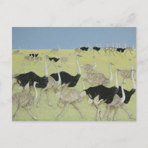 Cartão Postal Hora de ponta 2