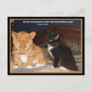 Cartão Postal Hora do Naptime!
