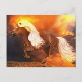 Cartão Postal Hora do ouro