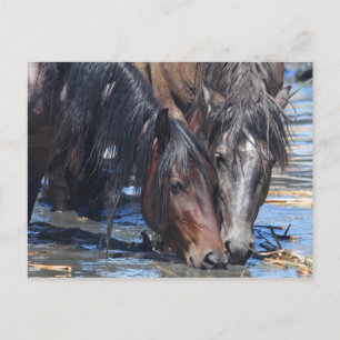 Cartão Postal Hora feliz