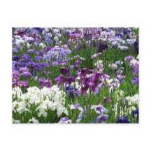 Horikiri Iris Garden: Tóquio, Japão