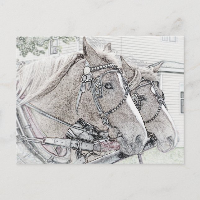 Cartão Postal Horse Art 2010 3 (Frente)
