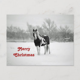 Cartão Postal Horse Black and White Snow Photo Christmas