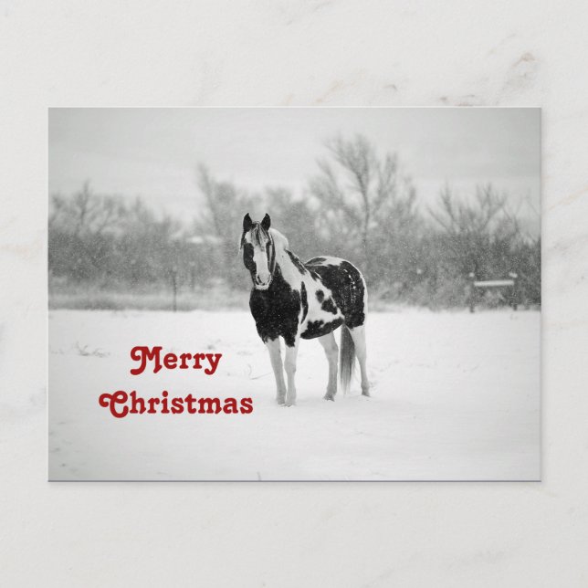 Cartão Postal Horse Black and White Snow Photo Christmas (Frente)