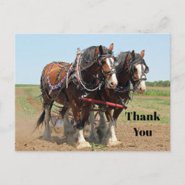 Cartão Postal Horse Clydesdale Farming Foto Obrigado