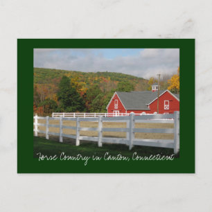 Cartão Postal Horse Country