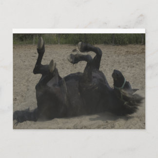 CARTÃO POSTAL HORSE FROLICING