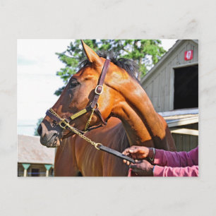 Cartão Postal Horse Haven Barn #47 em Saratoga