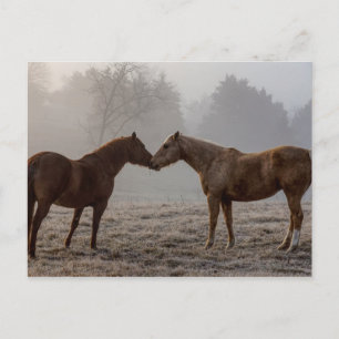Cartão Postal Horse Love
