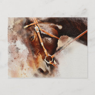 Cartão Postal Horse Watercolor Art