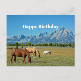 Cartão Postal Horses Teton Monta Paisagem