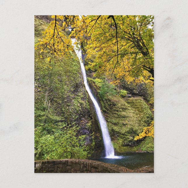Cartão Postal Horsetail Falls, Columbia River Gorge, Oregon (Frente)
