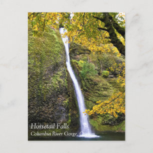Cartão Postal Horsetail Falls, Columbia River Gorge, Posto Orego