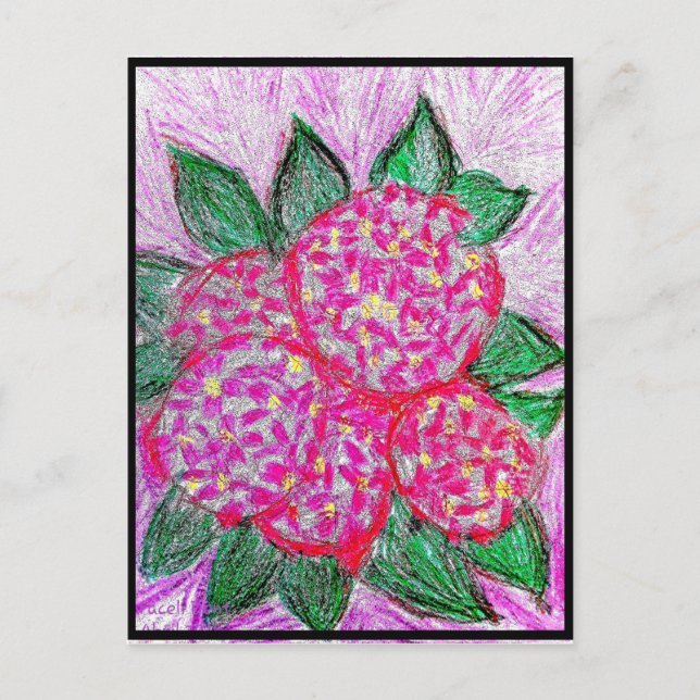 Cartão Postal Hortênsia macrophylla (Frente)