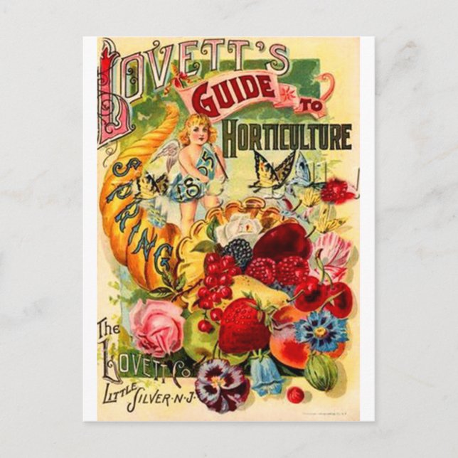 Cartão Postal Horticultura (Frente)