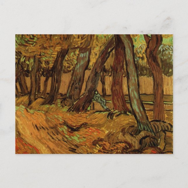 Cartão Postal Hospital da Figueira de São Paulo por Vincent van  (Frente)