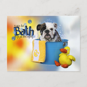 Cartão Postal Hot Bath - Bulldog Inglês - Delilah