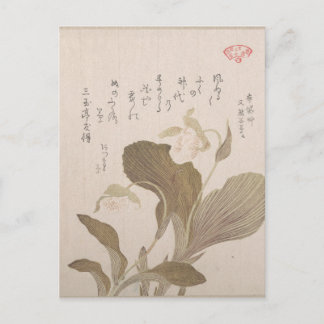 Cartão Postal Hotei Flowers - Kubo Shunman (Japonês)
