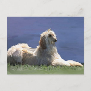 Cartão Postal Hound Afegão