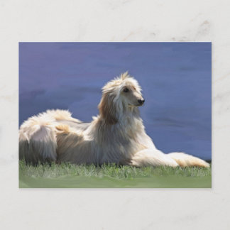 Cartão Postal Hound Afegão