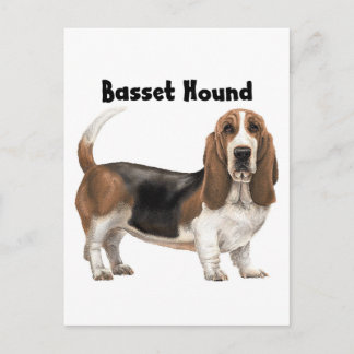 Cartão Postal Hound Basset