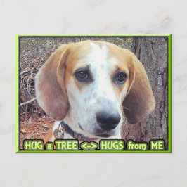 Cartão Postal Hound Dog Tree Hugger