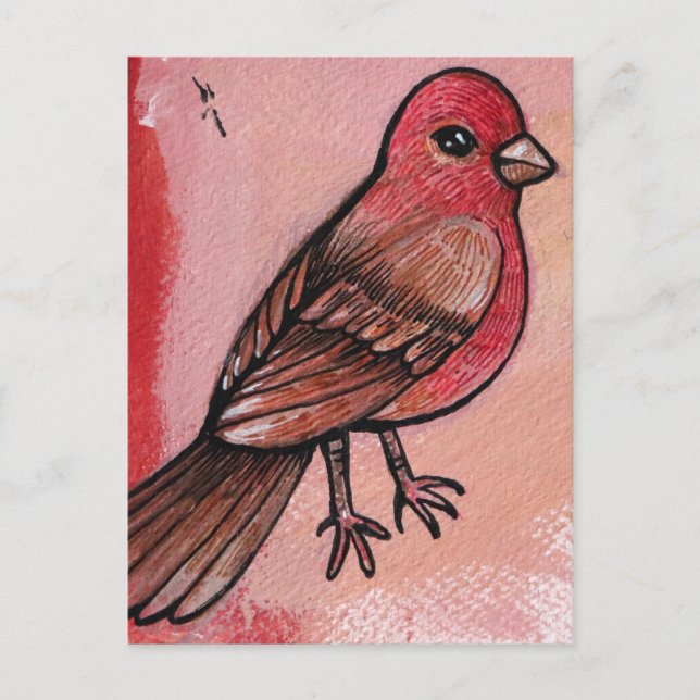 Cartão Postal House Finch (Frente)