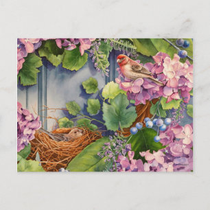 Cartão Postal House Finch Pair Nest em Wreath Watercolor Art
