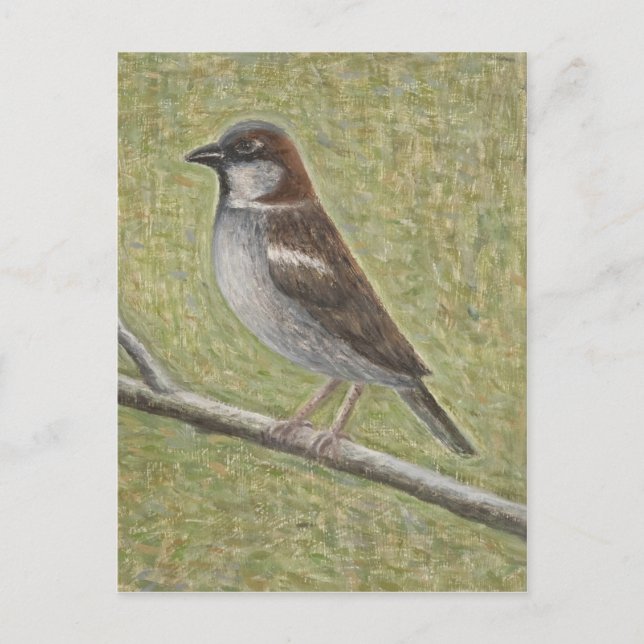 Cartão Postal House Sparrow 2008 (Frente)