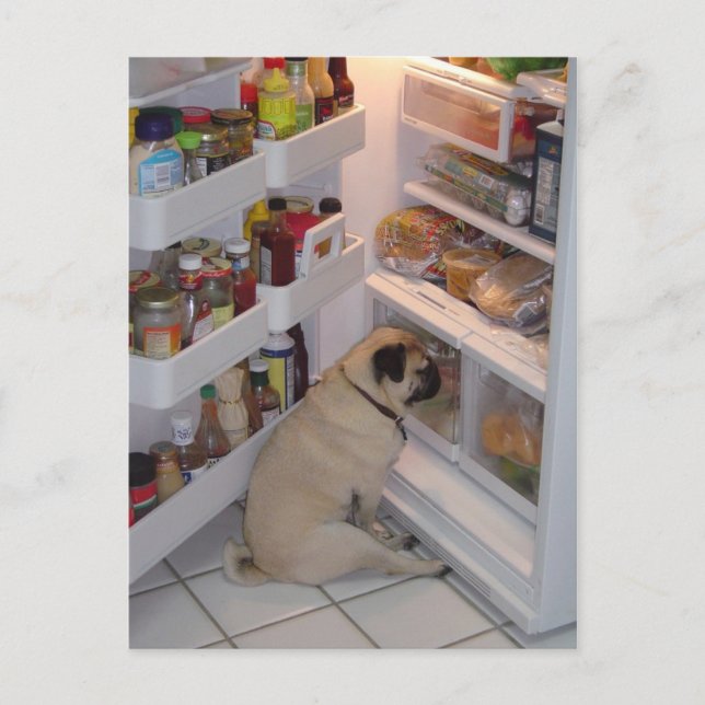 Cartão Postal Howie Pee Pugcalças (Frente)