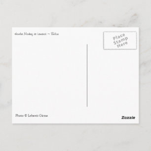 Cartão Postal Howler Monkey, Belize