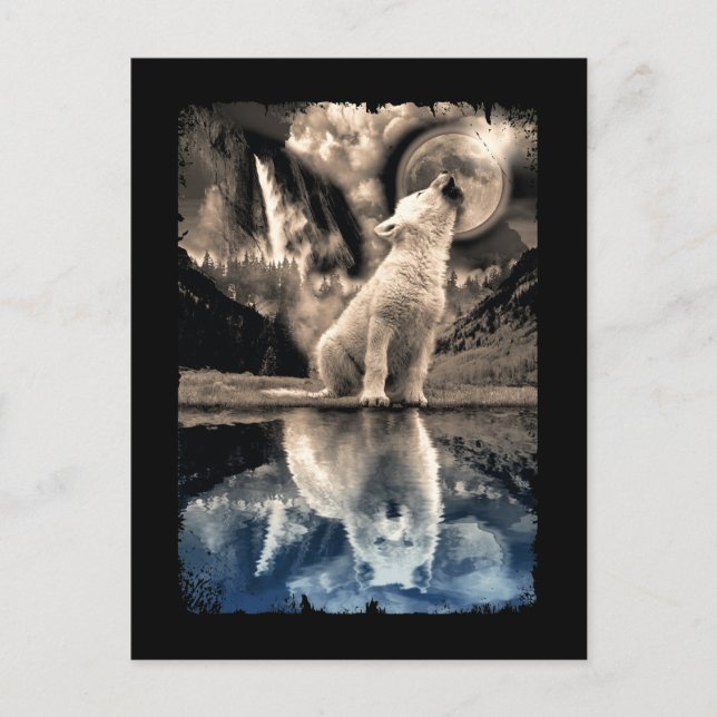 Cartão Postal Howling Baby Wolf Moon Mirror (Frente)