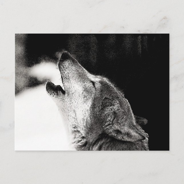 Cartão Postal Howling Wolf (Frente)