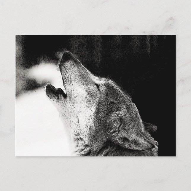 Cartão Postal Howling Wolf (Frente)