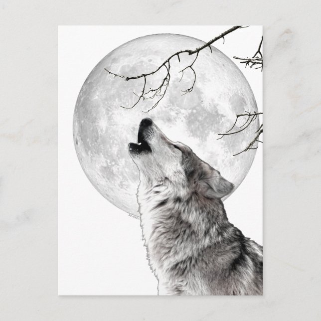Cartão Postal Howling Wolf, Moon, Gothic, Nature (Frente)