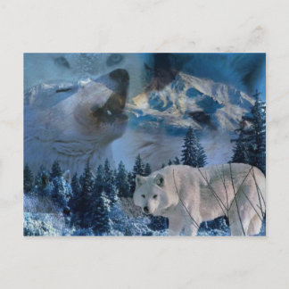 Cartão Postal Howling Wolf Pack