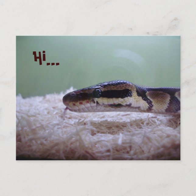 CARTÃO POSTAL HUG (Frente)