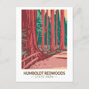 Cartão Postal Humboldt Redwoods State Park Avenue dos Giants
