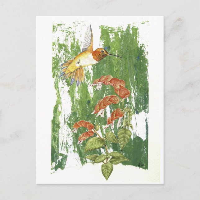 Cartão Postal Hummingbird (Frente)