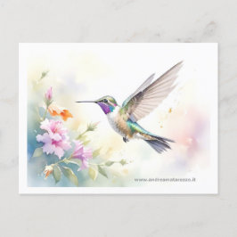 Cartão Postal Hummingbird