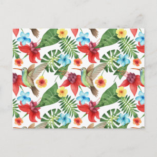 Cartão Postal Hummingbird 2