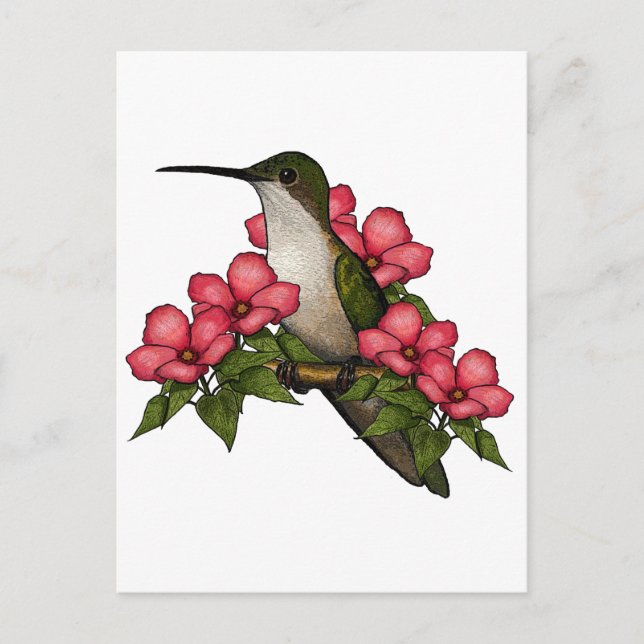 Cartão Postal Hummingbird Com Flores Rosa: Nature Art (Frente)