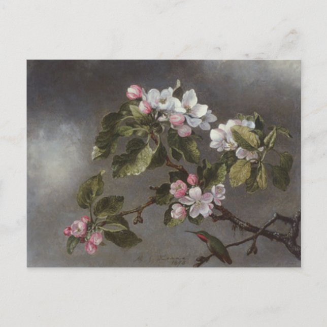 Cartão Postal Hummingbird e Apple Blossoms Martin J. Heade (Frente)